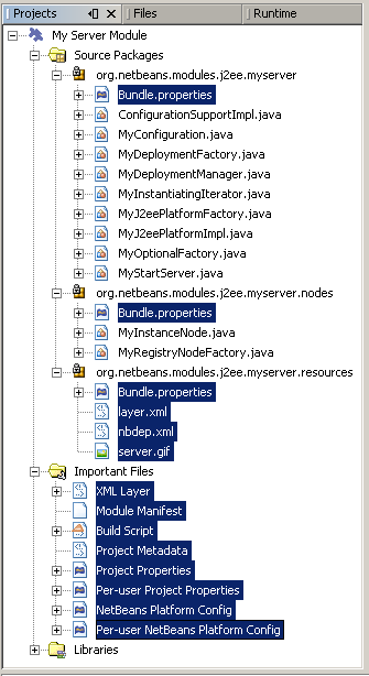 myserver projects window supporting
